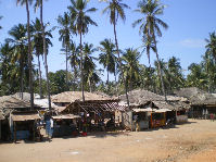Viaggio in Tanzania